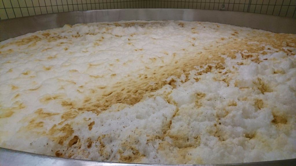 發酵啤酒可以不使用啤酒酵母嗎？